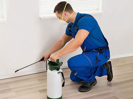 clean area istanbul Beykoz Haşere İlaçlama TemizlikŞirketi